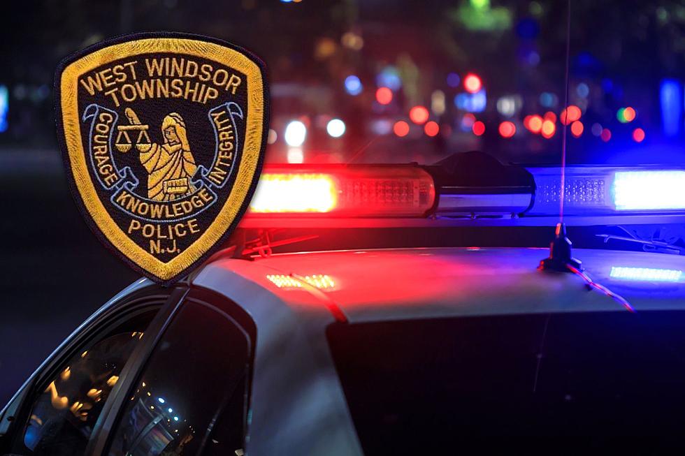12-year-old girl and pet dog killed on West Windsor, NJ road