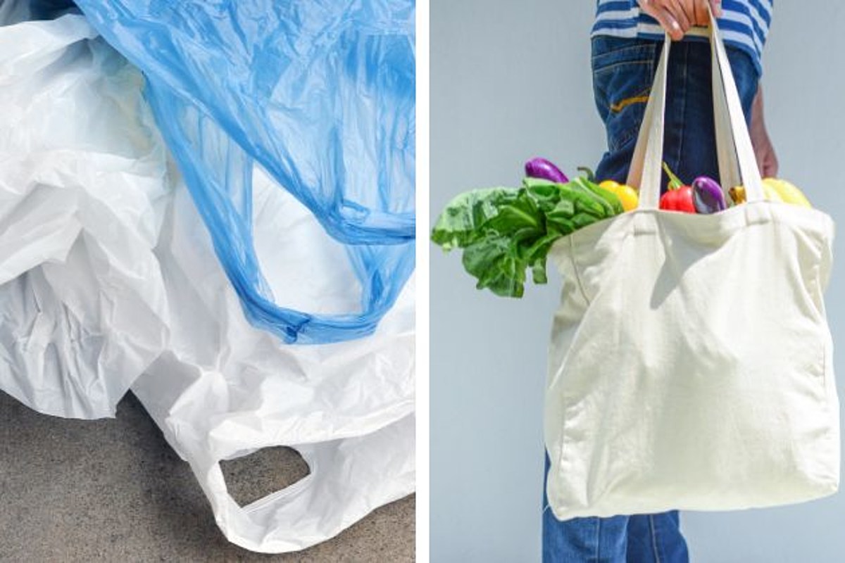 These are the reusable bags N.J. stores are selling before plastic bag ban  starts 