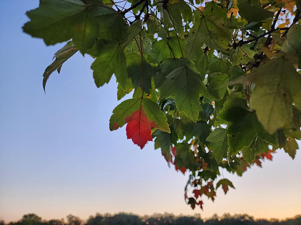 NJ weather: Nice Thursday, then Friday wetter than Saturday