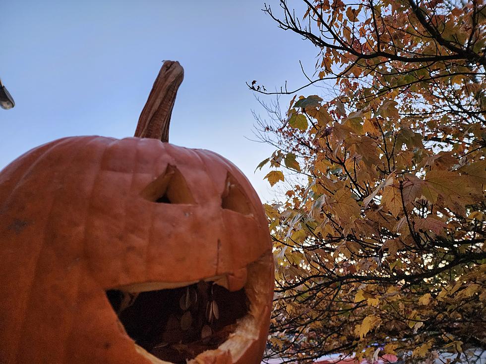 Big warmup begins for NJ — 60s, 70s, and even 80s on the way