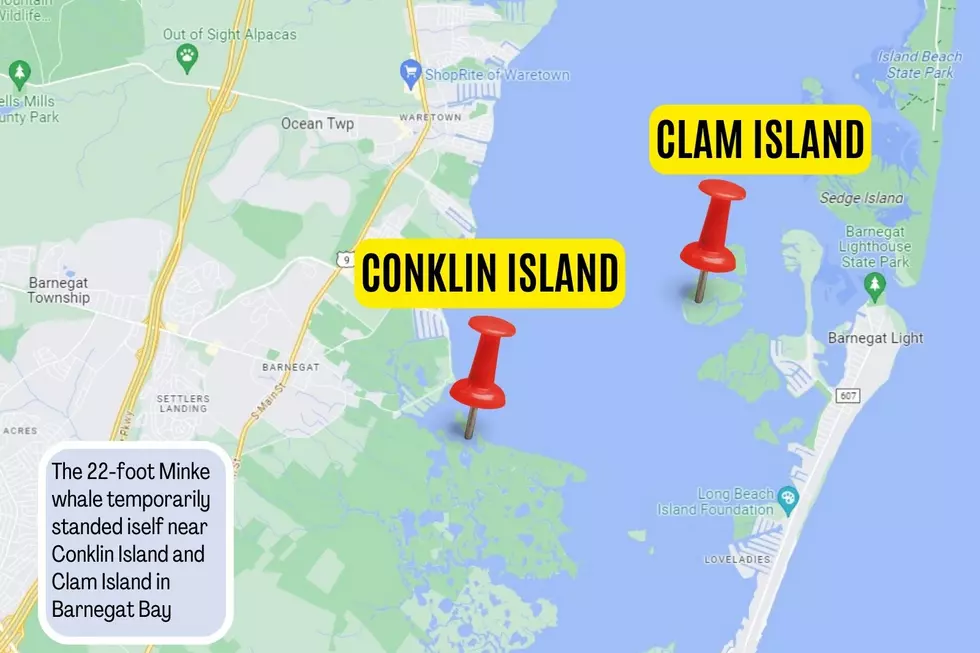 Map shows Conklin Island and Clam Island in Barnegat Bay