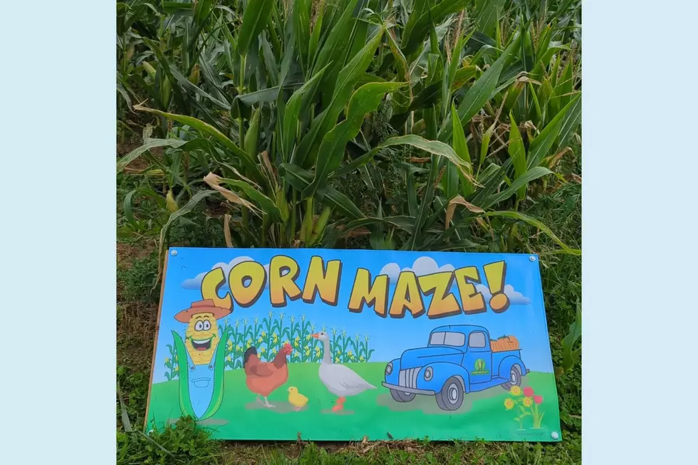Coombs Barnyard (Facebook)