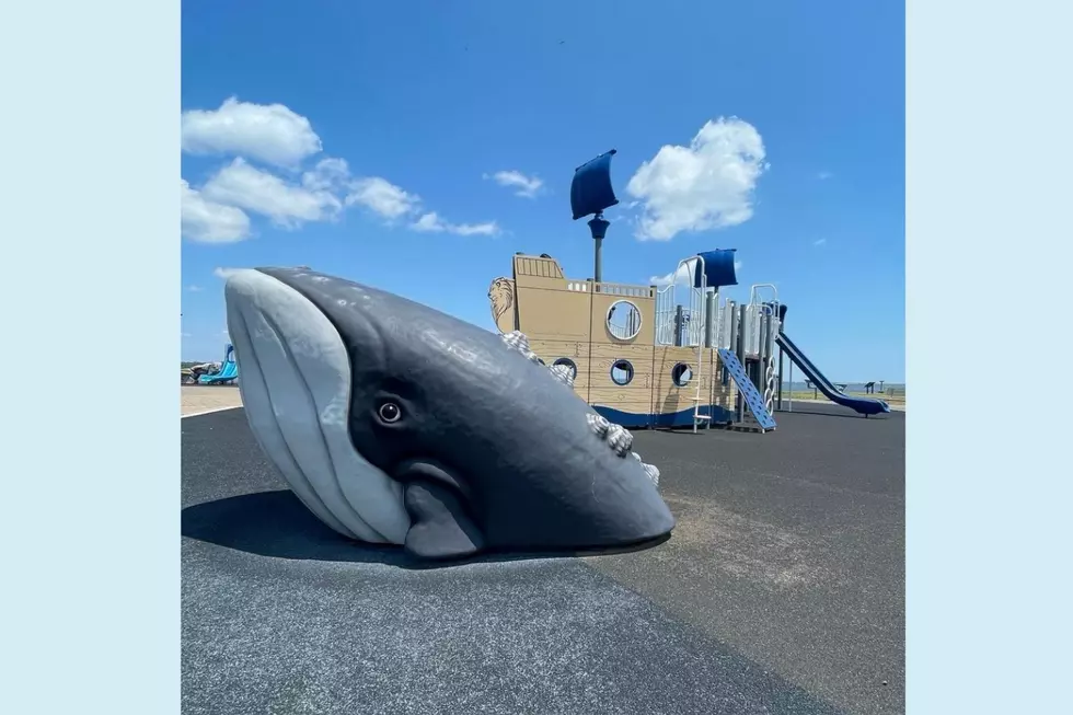 Forked River Beach Bay Front Park (NJParkSharks)