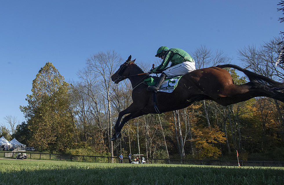 Watch horses fly — top steeplechase event returns to NJ 