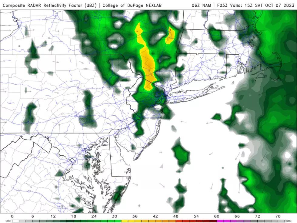 NAM model forecast as of late Saturday morning, as steady to heavy rain impacts northern and central New Jersey. (College of DuPage Meteorology)