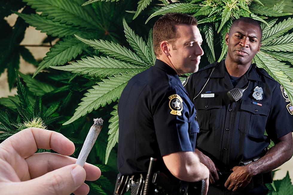 Cops getting high — Lawsuit challenges NJ rules on cops and weed