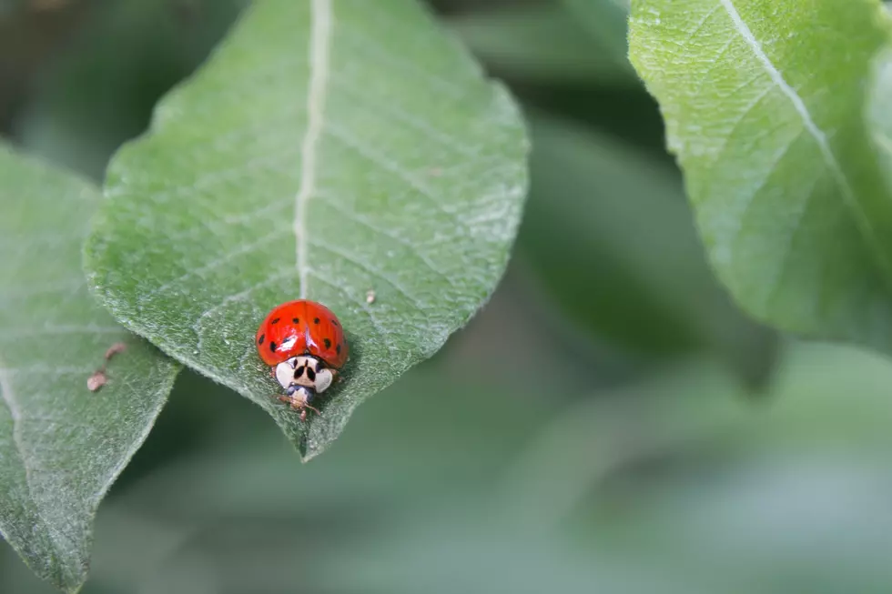 Photo by Jens Frank Jakob on Unsplash