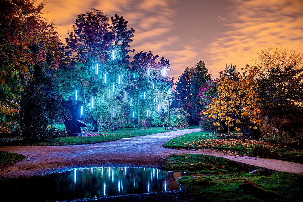 Final year to experience amazing nighttime art-light attraction in NJ