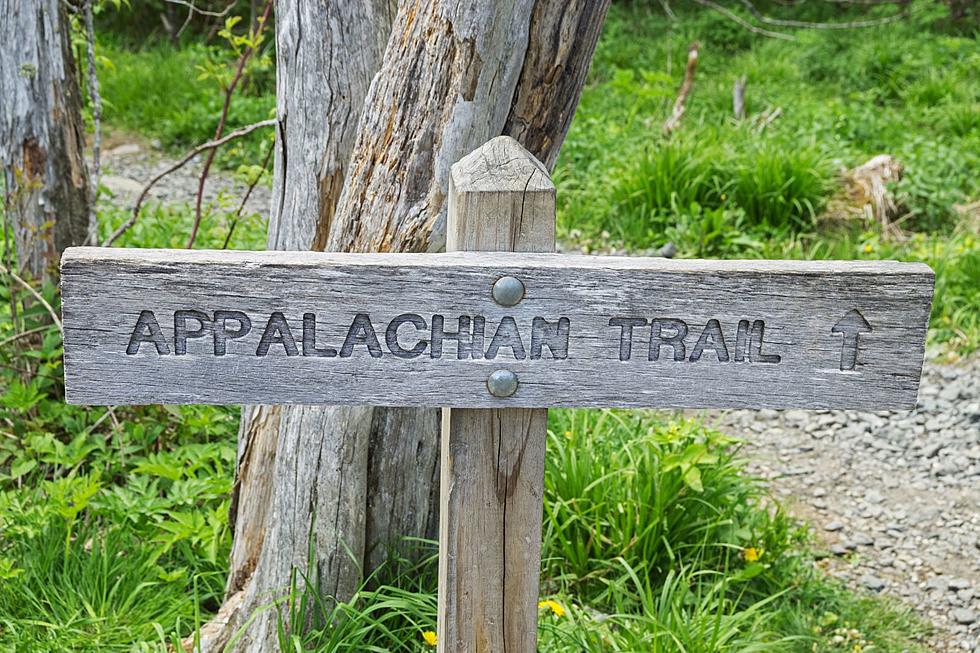 Take an easy, awesome hike on the Appalachian Trail in NJ
