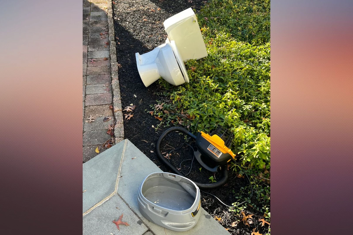 How The Toilet Ended Up On The Front Lawn A Spadea Thanksgiving