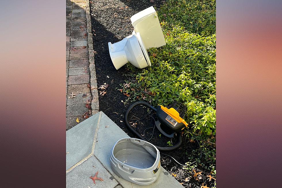 How the toilet ended up on the front lawn: A Spadea Thanksgiving