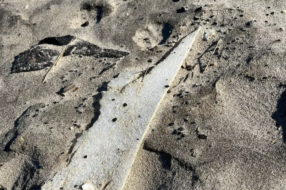 Tar and oil balls found at Seven Presidents Park in Long Branch
