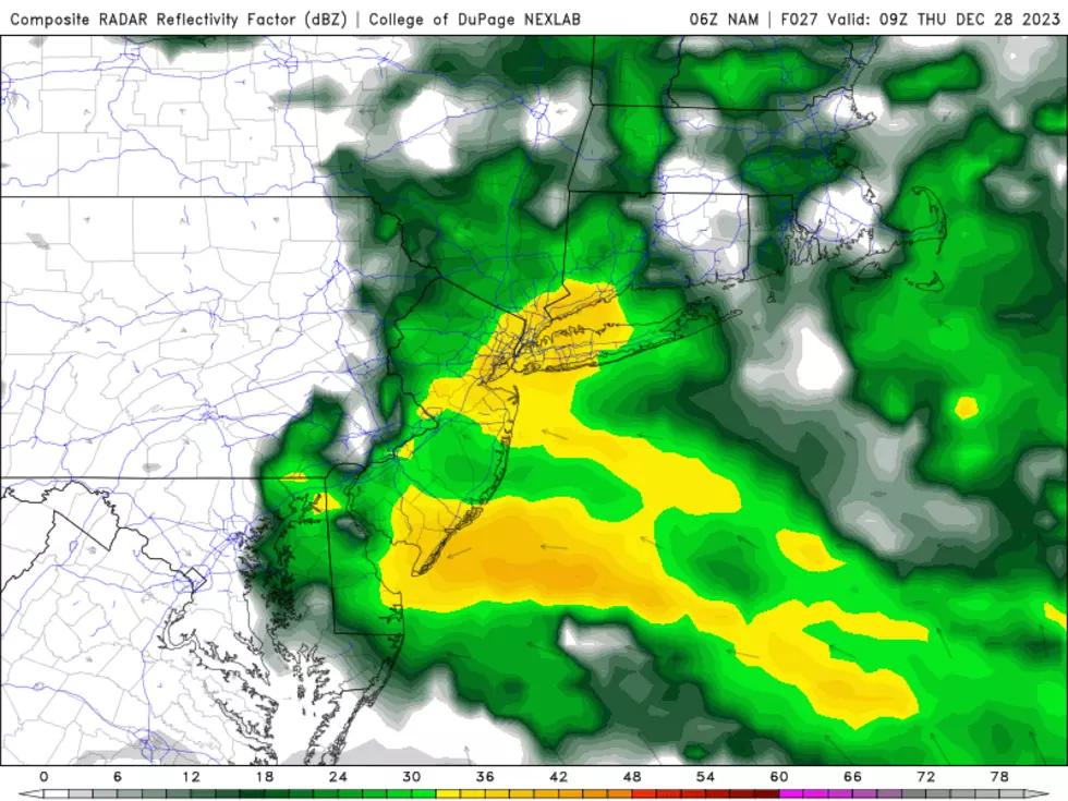 NAM model forecast for late Thursday night, as pockets of heavy rain really soak New Jersey. (College of DuPage Meteorology)