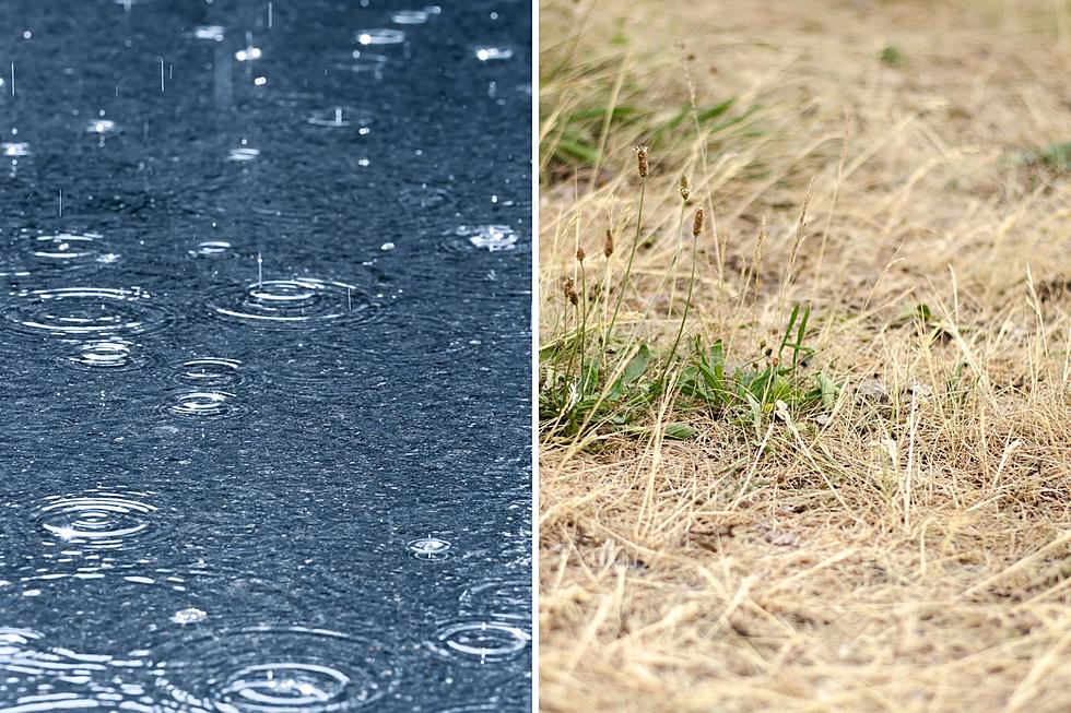 Drought or deluge: The wettest and driest spots in NJ in 2023
