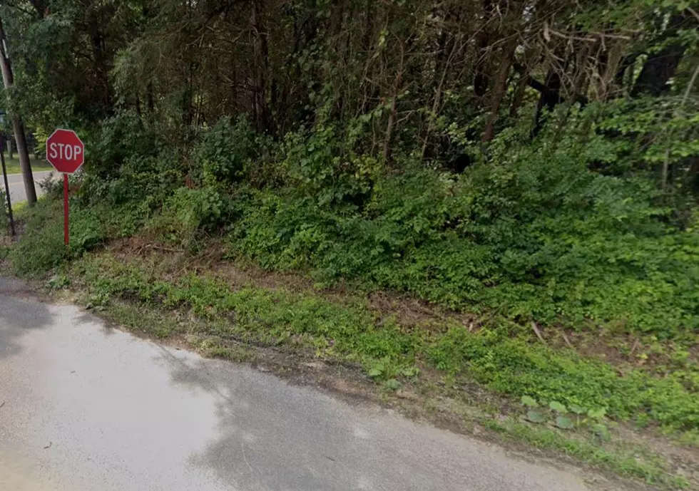 Intersection of Gershal and Eppinger Avenues in Pittsgrove, Salem County (Google Maps)