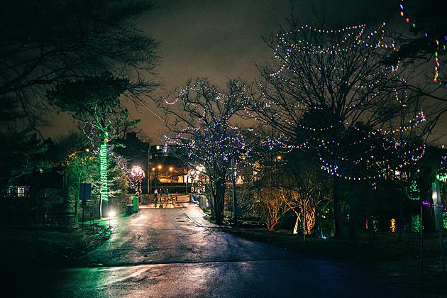 Holiday Magic in New Jersey: Famous and Unforgettable Light Displays