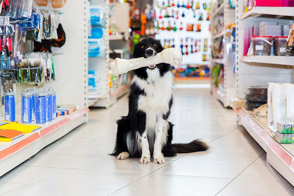 Save New Jersey pet stores, Spadea says