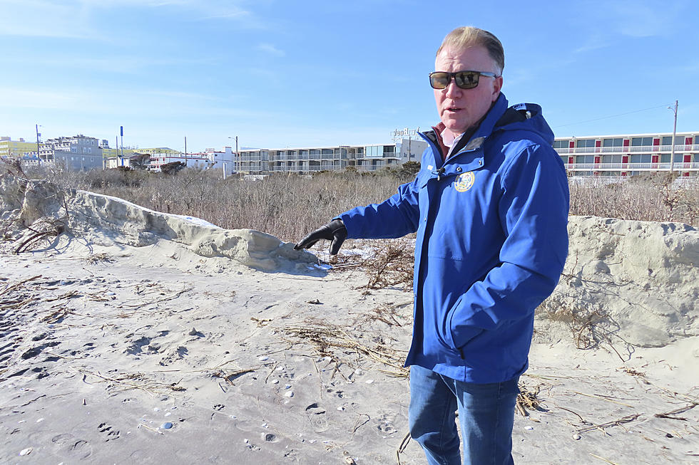 Jersey Shore town trying not to lose the man vs. nature fight on its eroded beaches