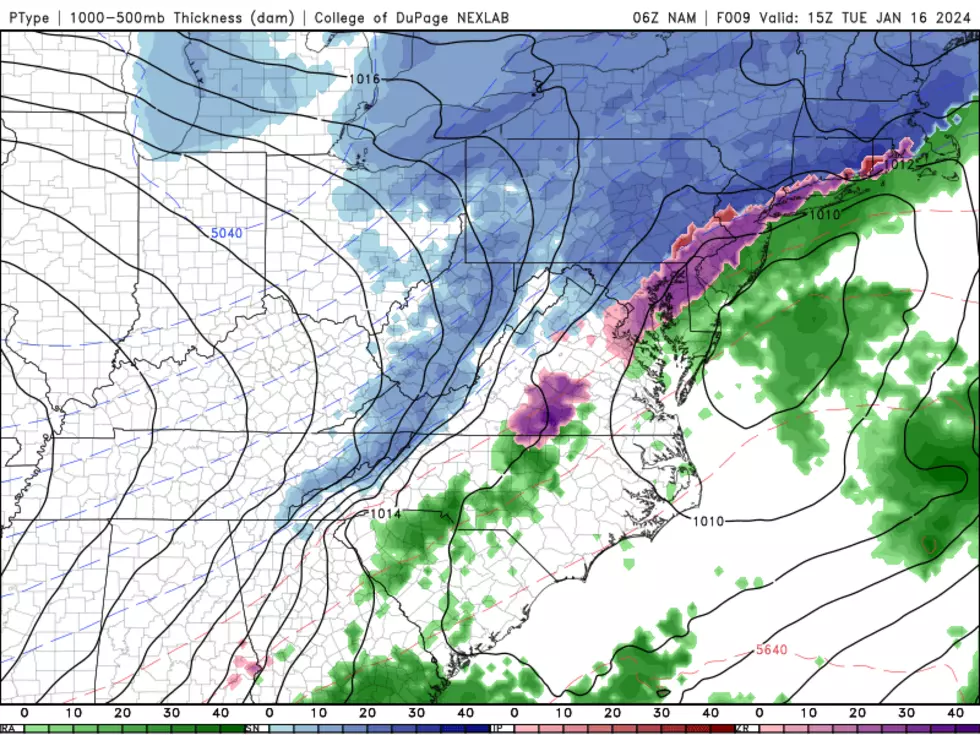 NAM model forecast as of 10 a.m. Tuesday, with snow (blue) to the north, icy mix (pink) in the middle, and rain (green) to the south. (College of DuPage Meteorology)
