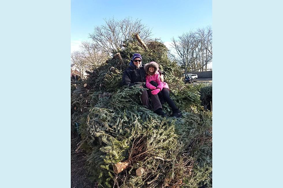 NJ: Don’t toss your Christmas tree, recycle it instead