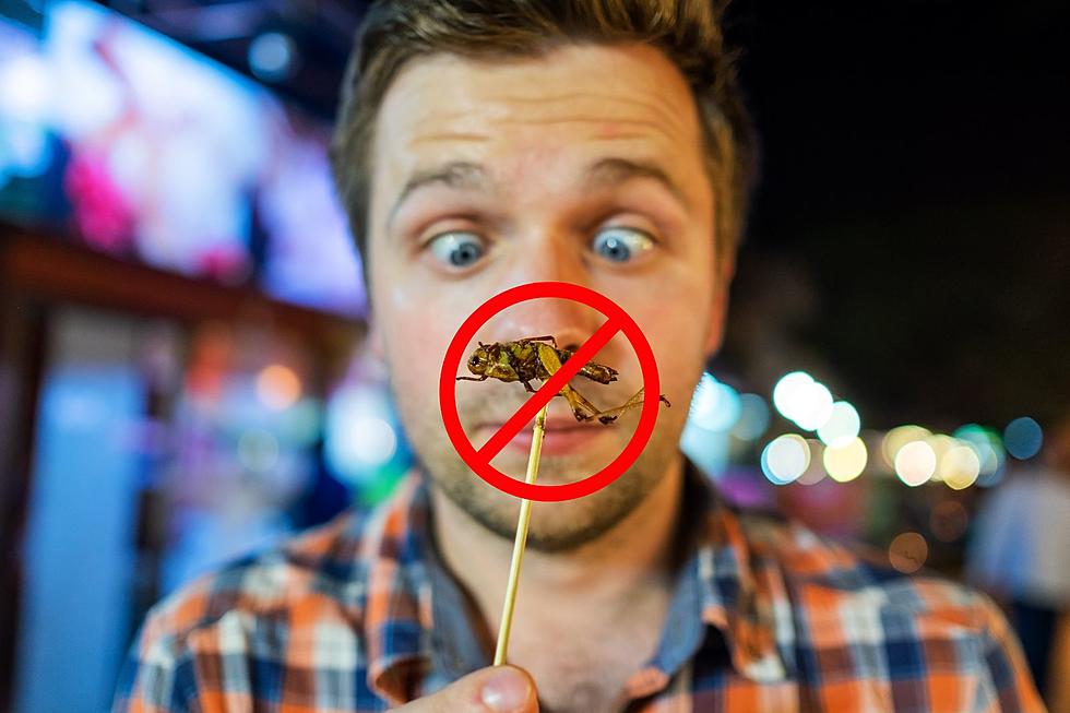 Stop with the bugs and eat more meat (Opinion)