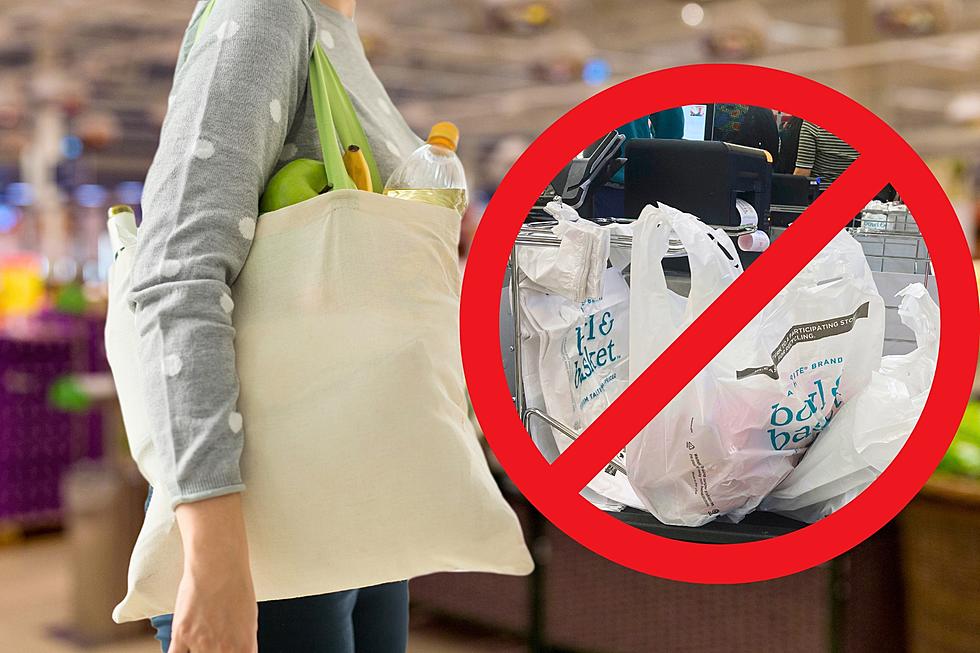 New study: NJ saves billions of plastic bags thanks to ban