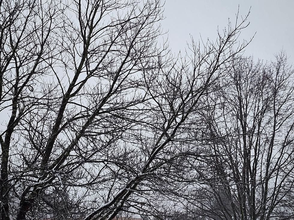 More snow for NJ: Showers Thursday, widespread 1-3&#8243; this weekend