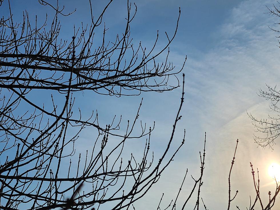 NJ temps soar into the 60s, punctuated by showers and t-storms