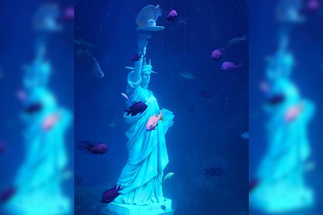 Sea Life aquarium in NJ has best tank of Times Square New York