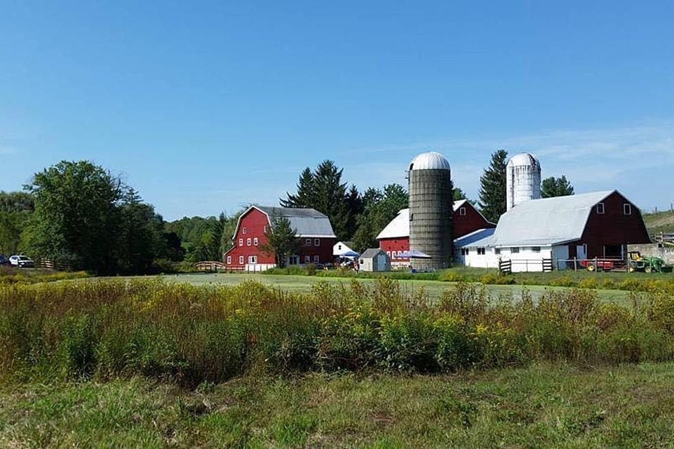 NJ sanctuary is dedicated to giving animals a second chance