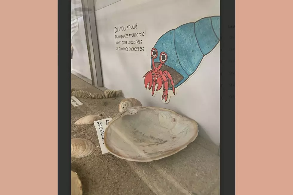 NJ Sea Grant Consortium (Samantha Kreisler)