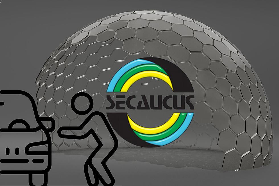 Secaucus, NJ, to install security dome to combat car theft