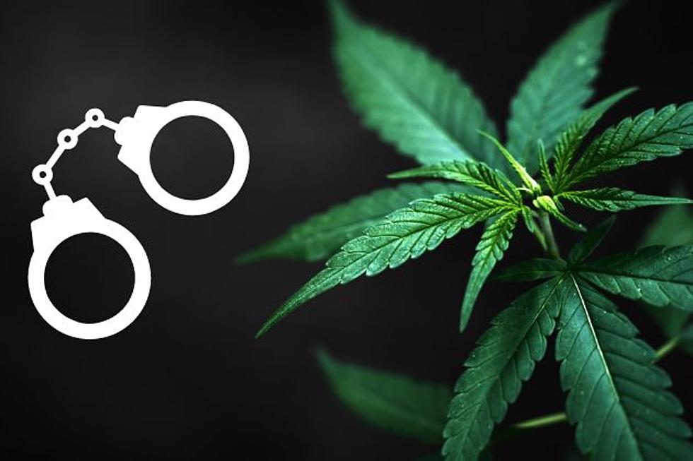 How many arrests have been avoided with NJ’s legal weed laws?