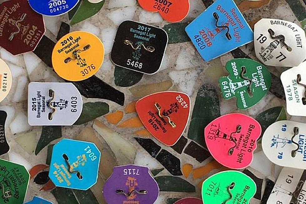 Unusual reason you may want NJ beach badges to remain