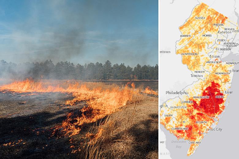 NJ plans 25,000 acres of prescribed burns to prevent wildfires