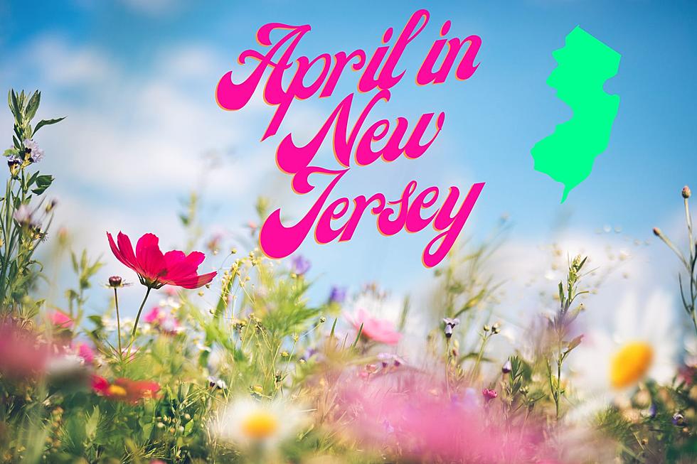 10 fun things to do in New Jersey in April