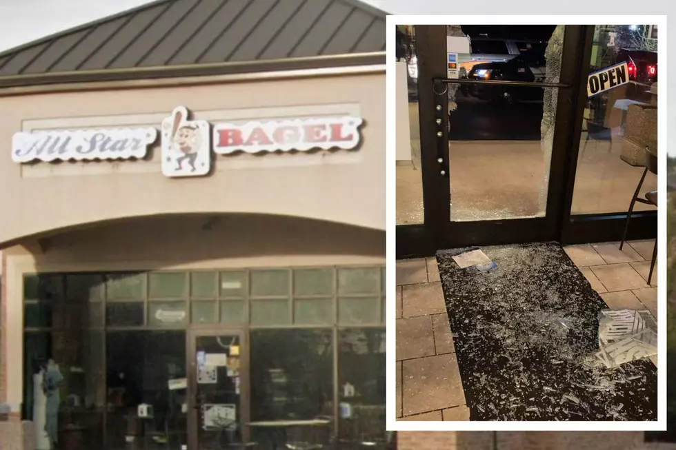 Smash-and-grab thieves target bagel shops, pizzerias