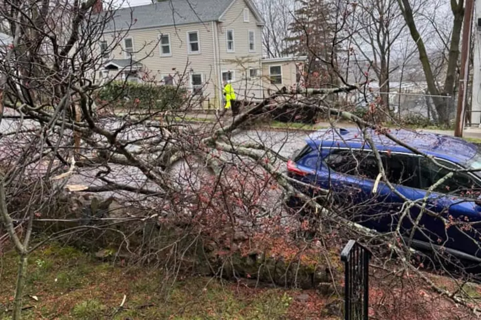 NJ spring storm brings rain, wind, power outages and snow