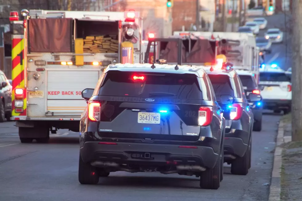 Trenton police vehicles