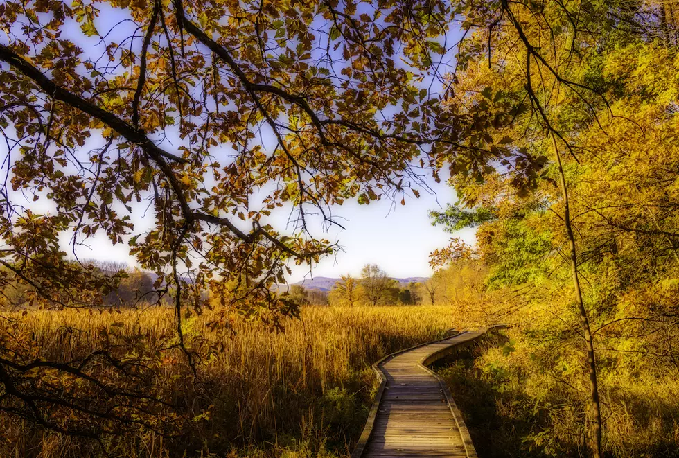 Getty Images/iStockphoto