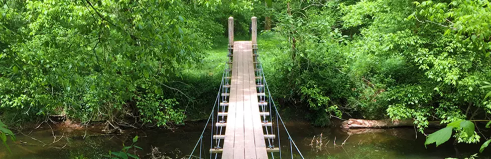 visitnj.org