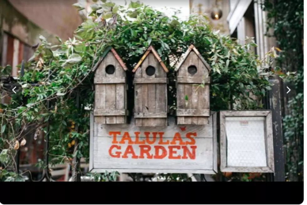 Talula's Garden
