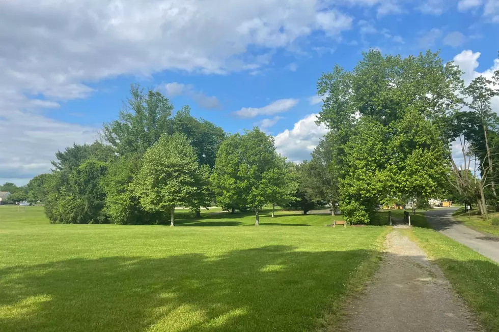 Warmer weather means it’s great to explore outside in NJ