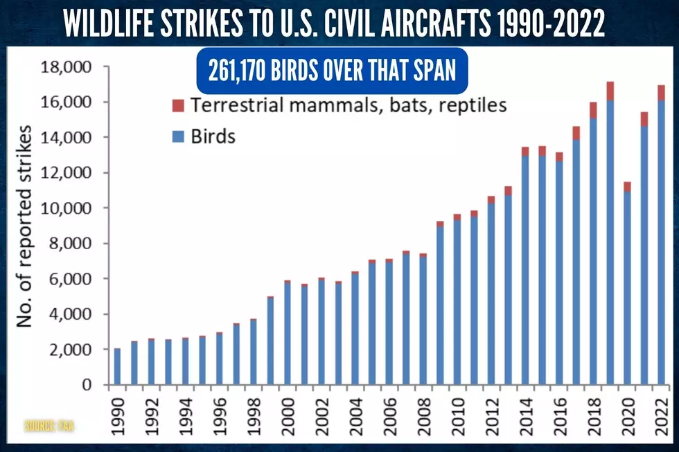 WILDLIFE STRIKES to U.S. CIVIL AIRCRAFTS 1990-2022
