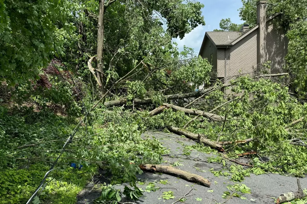 Storms knock out power, block roads in parts of NJ