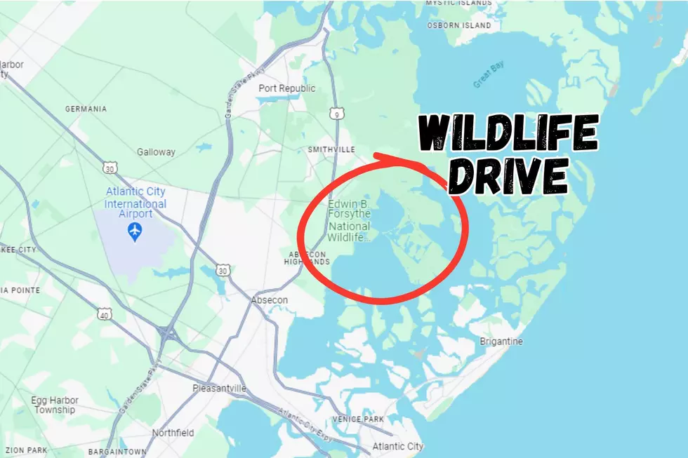 Google Maps