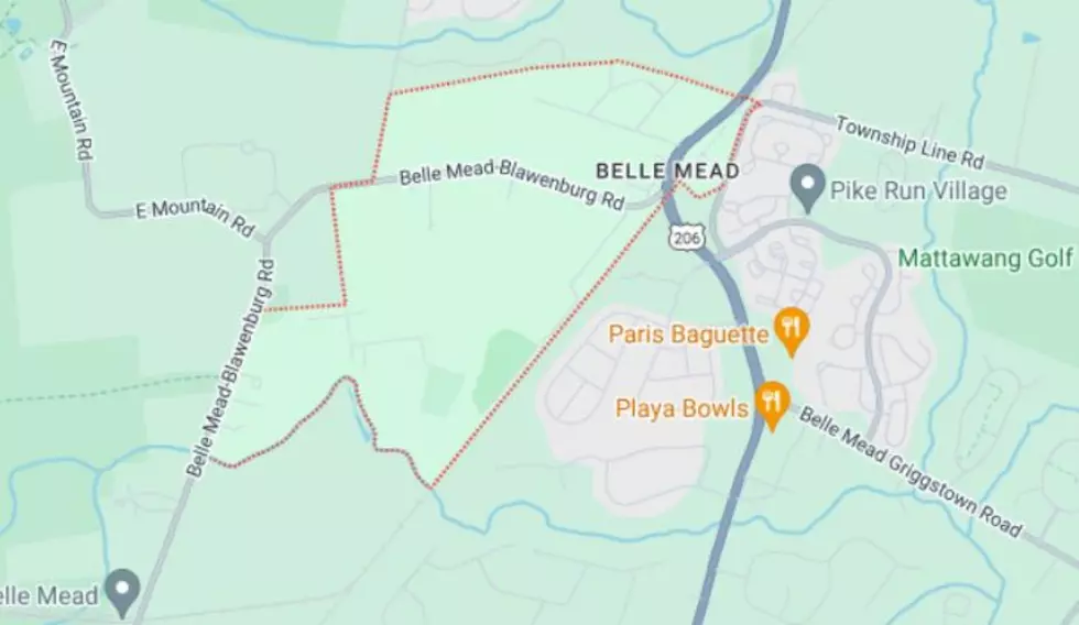 Belle Mead (Google Maps)