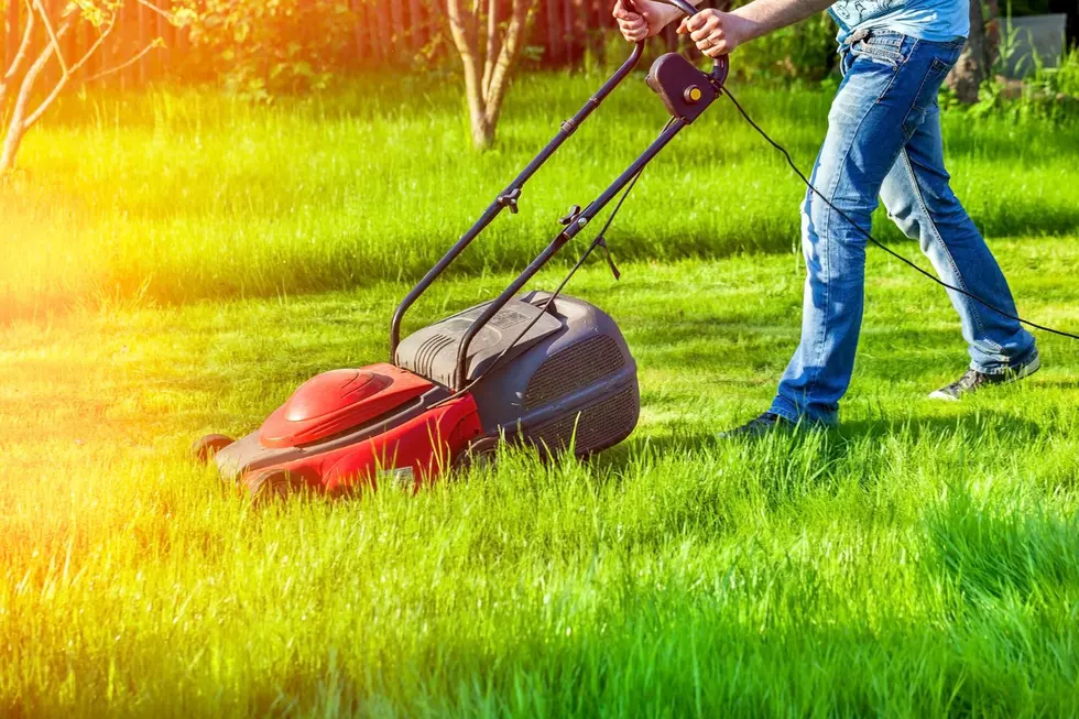 Most Jersey homeowners have &#8216;a Guy&#8217; for their lawn