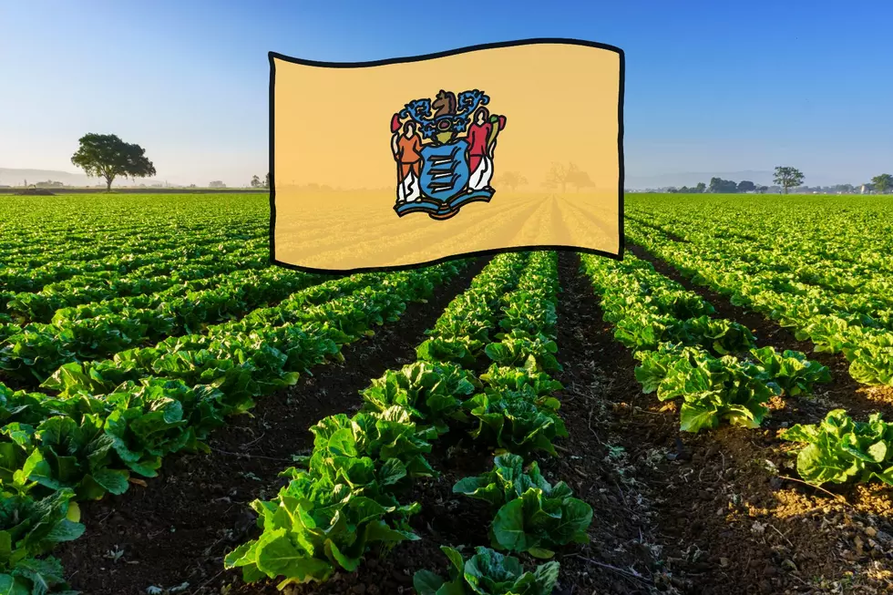Time to support New Jersey family farms