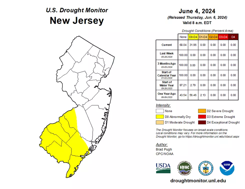 New Jersey's Drought Monitor report as of June 4, 2024, showing approximately 32% of the state is "abnormally dry". (National Drought Mitigation Center)